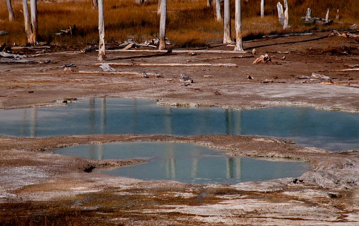 Norris Geyser Basin 6795.jpg